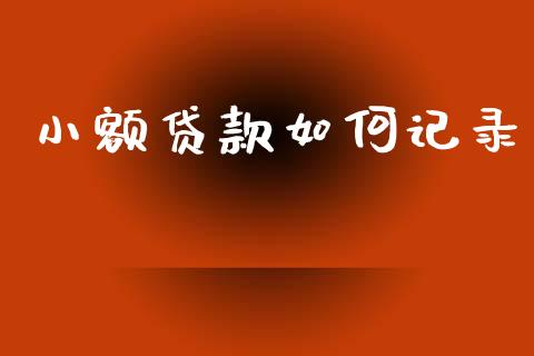小额贷款如何记录_https://www.gongyisiwang.com_道指_第1张