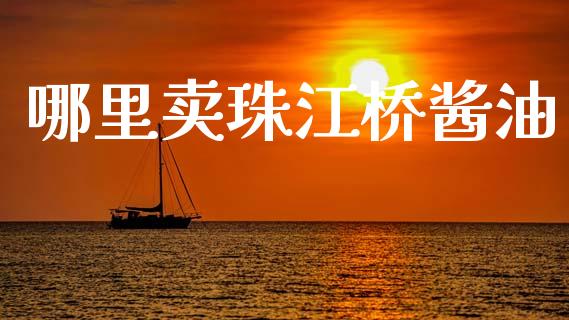 哪里卖珠江桥酱油_https://www.gongyisiwang.com_股指期货交易手续费_第1张