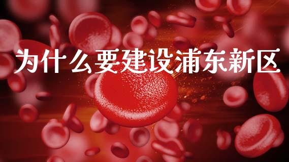 为什么要建设浦东新区_https://www.gongyisiwang.com_原油期货_第1张