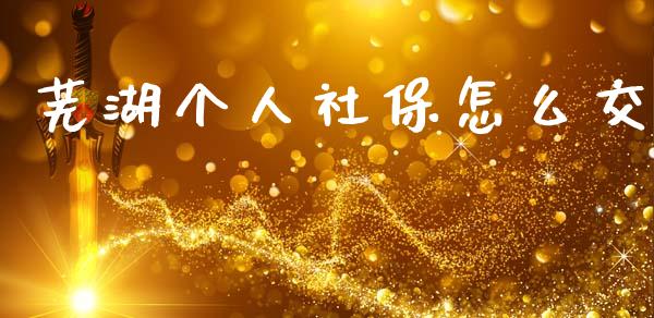 芜湖个人社保怎么交_https://www.gongyisiwang.com_原油期货_第1张