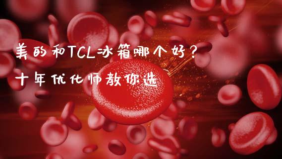 美的和TCL冰箱哪个好？十年优化师教你选_https://www.gongyisiwang.com_焦炭期货手续费_第1张
