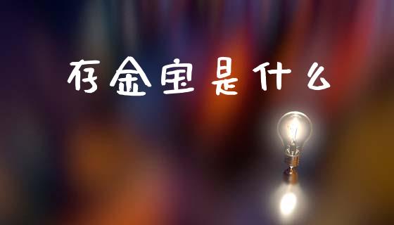 存金宝是什么_https://www.gongyisiwang.com_焦炭期货手续费_第1张