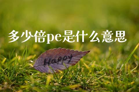 多少倍pe是什么意思_https://www.gongyisiwang.com_股指期货交易手续费_第1张