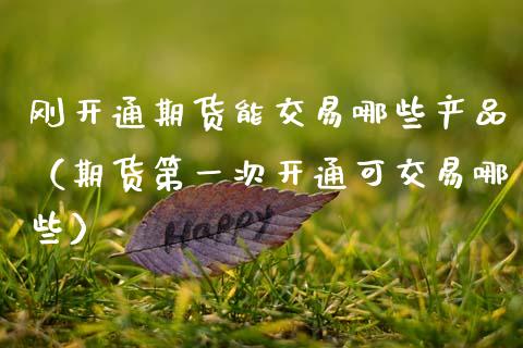 刚开通期货能交易哪些产品(期货第一次开通可交易哪些)_恒指期货_第1张_股指期货交易手续费_广发期货手续费_期货公司手续费排名_焦炭期货手续费 刚开通期货能交易哪些产品(期货第一次开通可交易哪些)_https://www.gongyisiwang.com_恒指期货_第1张
