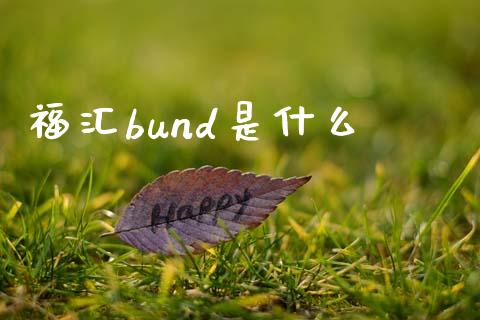 福汇bund是什么_https://www.gongyisiwang.com_道指_第1张