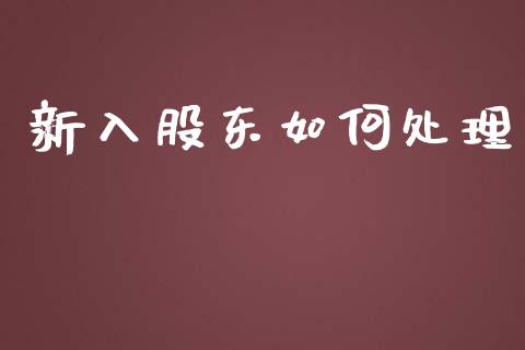 新入股东如何处理_https://www.gongyisiwang.com_焦炭期货手续费_第1张