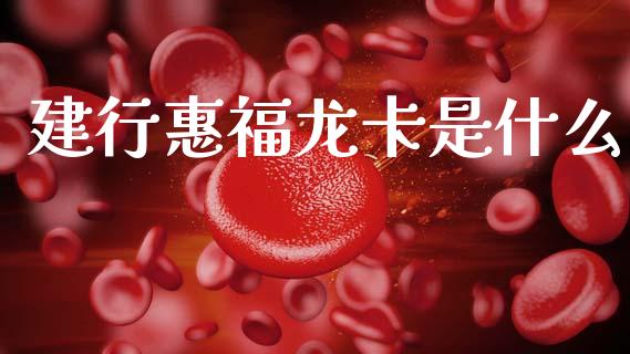 建行惠福龙卡是什么_https://www.gongyisiwang.com_广发期货手续费_第1张