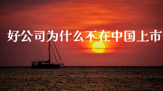 好公司为什么不在中国上市_https://www.gongyisiwang.com_焦炭期货手续费_第1张