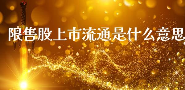 限售股上市流通是什么意思_https://www.gongyisiwang.com_广发期货手续费_第1张