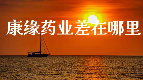 康缘药业差在哪里_https://www.gongyisiwang.com_股指期货_第1张