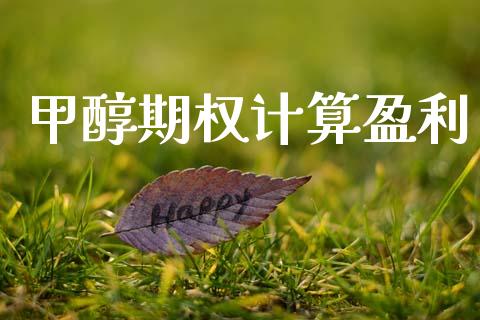 甲醇期权计算盈利_https://www.gongyisiwang.com_期货公司手续费排名_第1张
