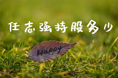 任志强持股多少_https://www.gongyisiwang.com_原油期货_第1张