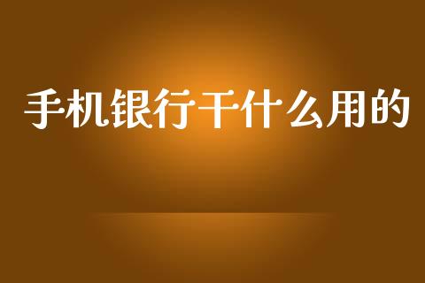 手机银行干什么用的_https://www.gongyisiwang.com_恒指期货_第1张