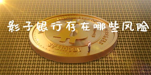 影子银行存在哪些风险_https://www.gongyisiwang.com_原油期货_第1张