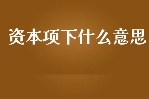 资本项下什么意思_https://www.gongyisiwang.com_期货公司手续费排名_第1张