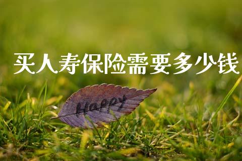 买人寿保险需要多少钱_https://www.gongyisiwang.com_期货公司手续费排名_第1张