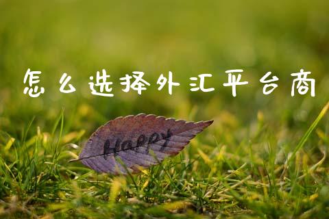 怎么选择外汇平台商_https://www.gongyisiwang.com_道指_第1张