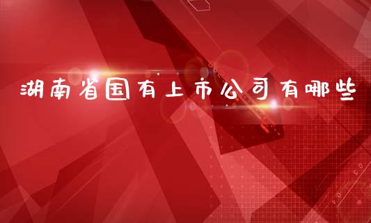 湖南省国有上市公司有哪些_https://www.gongyisiwang.com_道指_第1张