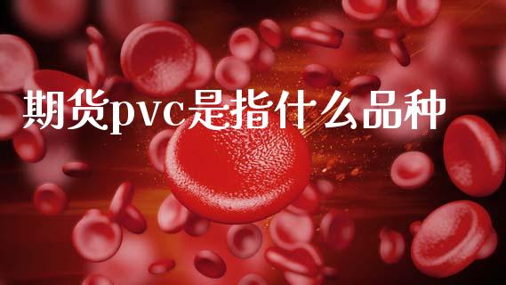 期货pvc是指什么品种_https://www.gongyisiwang.com_股指期货_第1张