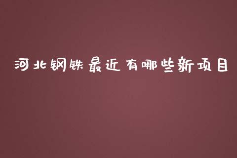 河北钢铁最近有哪些新项目_https://www.gongyisiwang.com_股指期货交易手续费_第1张
