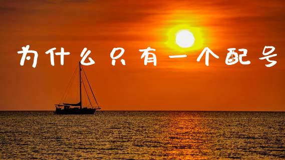 为什么只有一个配号_https://www.gongyisiwang.com_股指期货交易手续费_第1张