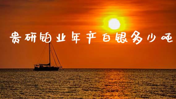 贵研铂业年产白银多少吨_https://www.gongyisiwang.com_股指期货_第1张