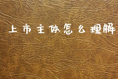 上市主体怎么理解_https://www.gongyisiwang.com_恒指期货_第1张