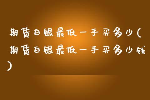 期货白银最低一手买多少(期货白银最低一手买多少钱)_https://www.gongyisiwang.com_焦炭期货手续费_第1张