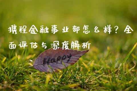 携程金融事业部怎么样？全面评估与深度解析_https://www.gongyisiwang.com_期货公司手续费排名_第1张