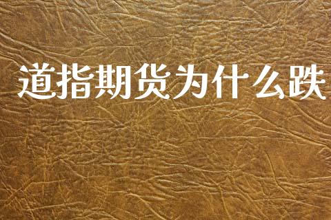 道指期货为什么跌_https://www.gongyisiwang.com_焦炭期货手续费_第1张