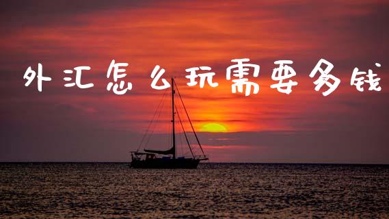 外汇怎么玩需要多钱_https://www.gongyisiwang.com_期货公司手续费排名_第1张