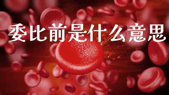 委比前是什么意思_https://www.gongyisiwang.com_股指期货交易手续费_第1张