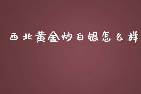 西北黄金炒白银怎么样_https://www.gongyisiwang.com_广发期货手续费_第1张