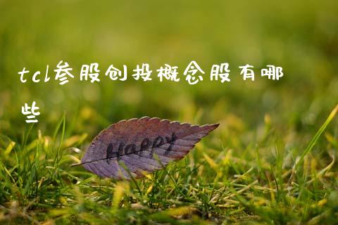 tcl参股创投概念股有哪些_https://www.gongyisiwang.com_道指_第1张
