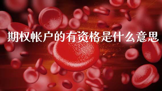 期权帐户的有资格是什么意思_https://www.gongyisiwang.com_焦炭期货手续费_第1张