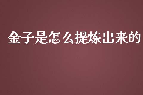 金子是怎么提炼出来的_https://www.gongyisiwang.com_广发期货手续费_第1张