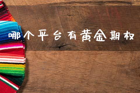 哪个平台有黄金期权_https://www.gongyisiwang.com_恒指期货_第1张