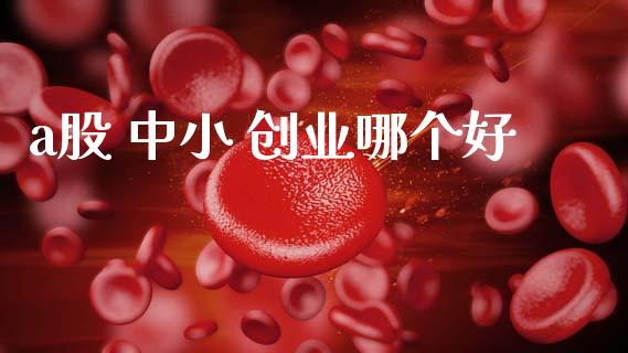 a股 中小 创业哪个好_https://www.gongyisiwang.com_恒指期货_第1张
