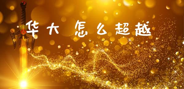 华大 怎么超越_https://www.gongyisiwang.com_股指期货交易手续费_第1张