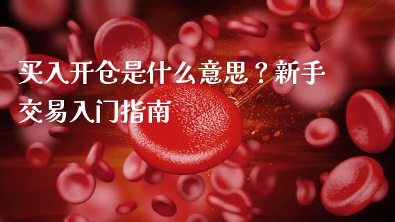 买入开仓是什么意思？新手交易入门指南_https://www.gongyisiwang.com_股指期货交易手续费_第1张