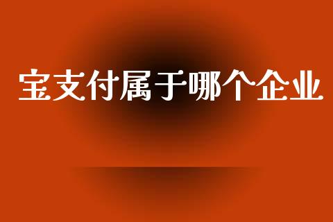 宝支付属于哪个企业_https://www.gongyisiwang.com_股指期货_第1张