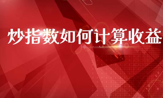 炒指数如何计算收益_https://www.gongyisiwang.com_股指期货交易手续费_第1张