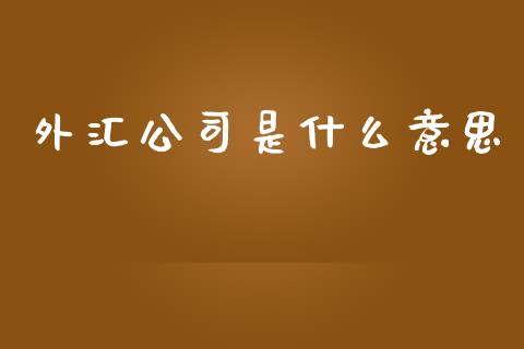 外汇公司是什么意思_https://www.gongyisiwang.com_股指期货_第1张