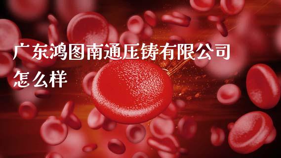 广东鸿图南通压铸有限公司怎么样_https://www.gongyisiwang.com_广发期货手续费_第1张