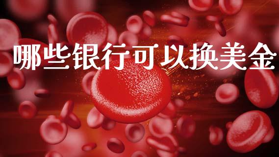 哪些银行可以换美金_https://www.gongyisiwang.com_焦炭期货手续费_第1张