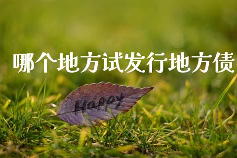 哪个地方试发行地方债_https://www.gongyisiwang.com_原油期货_第1张