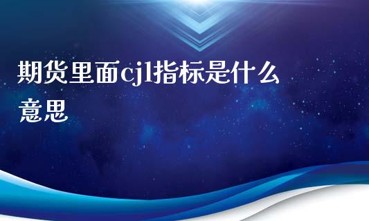 期货里面cjl指标是什么意思_https://www.gongyisiwang.com_期货公司手续费排名_第1张