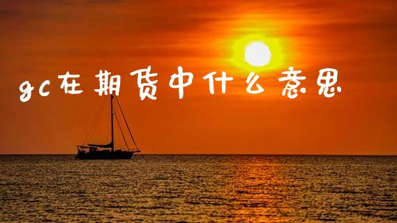 gc在期货中什么意思_https://www.gongyisiwang.com_焦炭期货手续费_第1张