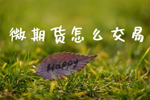 微期货怎么交易_https://www.gongyisiwang.com_股指期货交易手续费_第1张