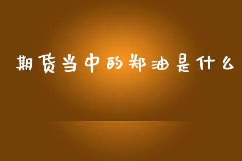 期货当中的郑油是什么_https://www.gongyisiwang.com_股指期货_第1张